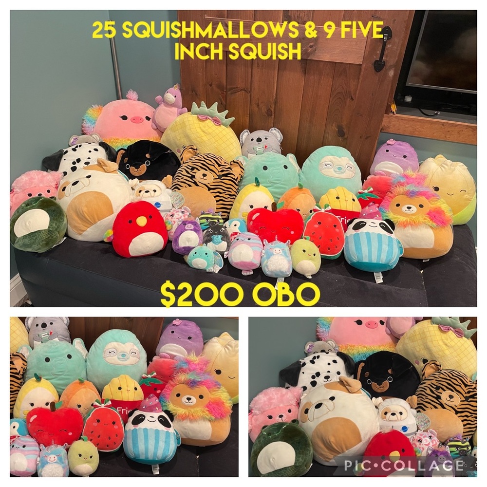 Lot of 25 squishmallows & 9 five inch squish. Most have tags, some do not
